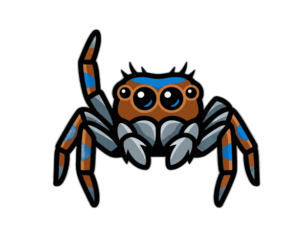 Jotus, l'araignée sauteuse mascotte de JOTUS DIGITAL, studio de création web